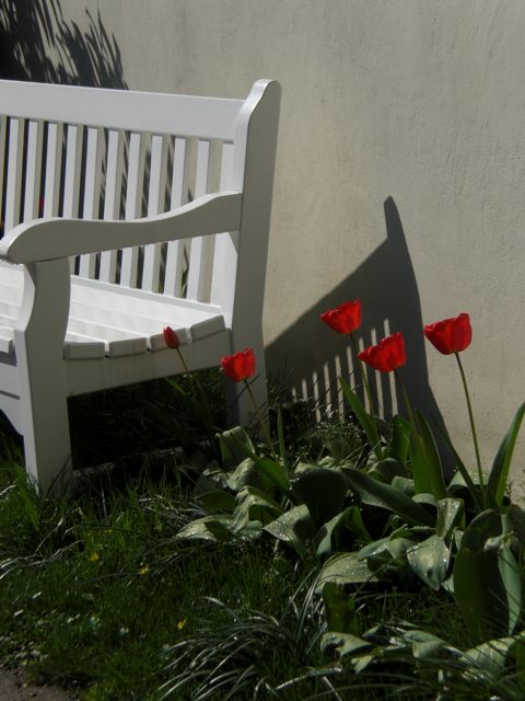 Bank und Tulpen im Blühenden Barock, Ludwigsburg