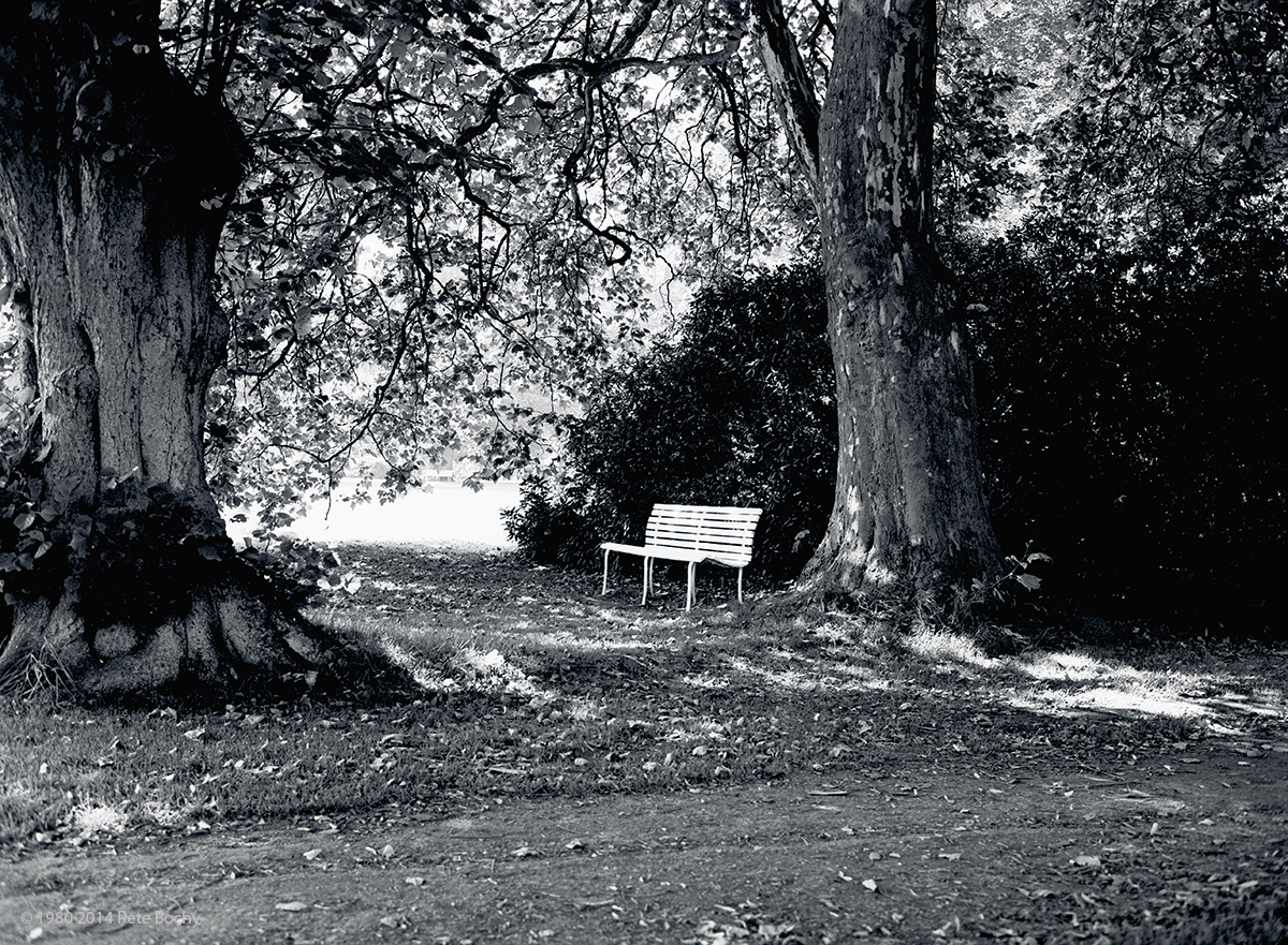 Bank zum Träumen, Lembeck, 1980