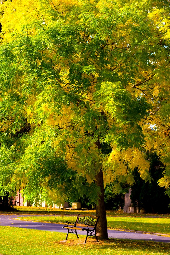 Bankenherbst alternativ