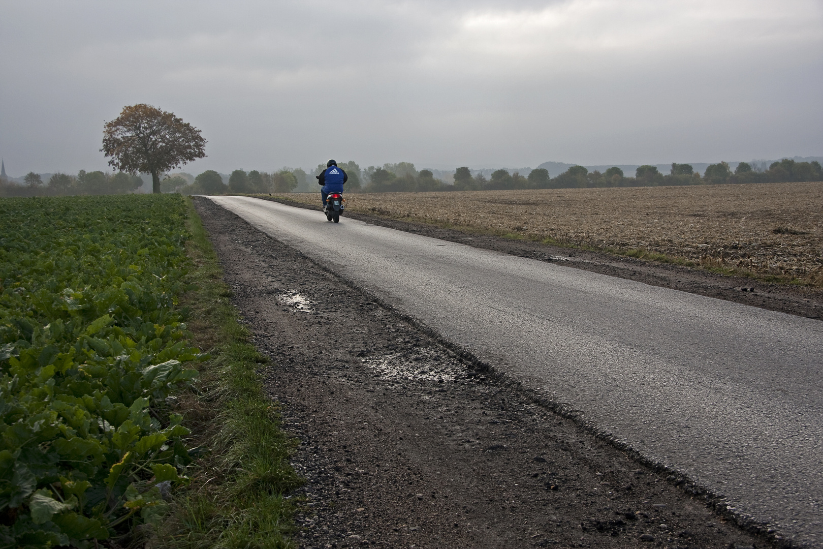 Bankett Foto & Bild baum, weg, regen Bilder auf