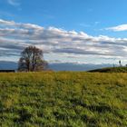 Bankgeheimnisse im Zürcher Oberland