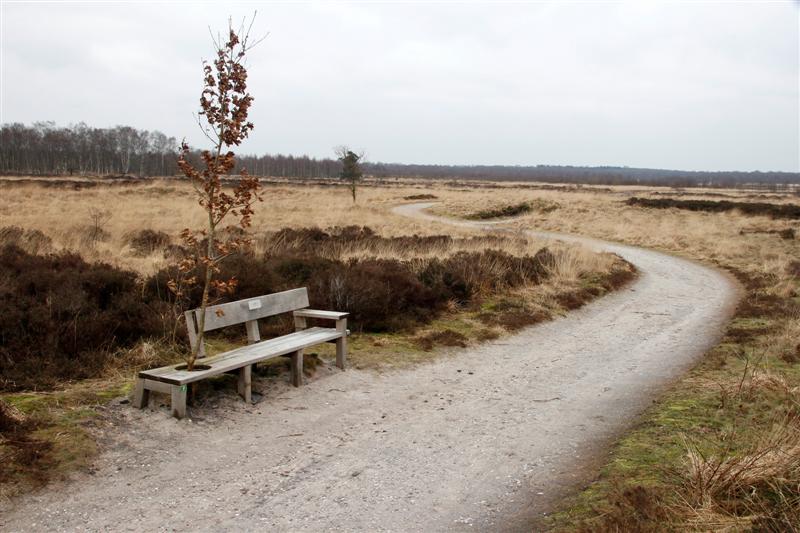 "Bankje " op de hei