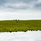 Banks of the River Erne