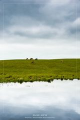 Banks of the River Erne