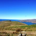 Banks Peninsula