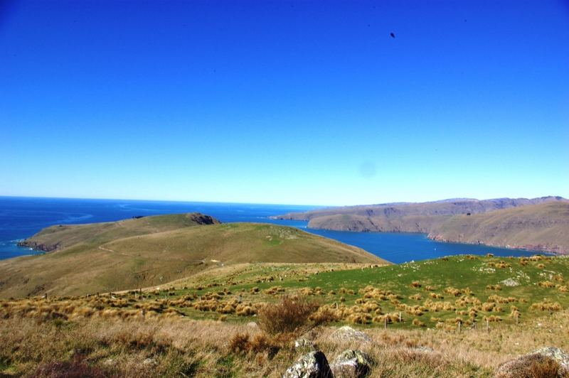 Banks Peninsula