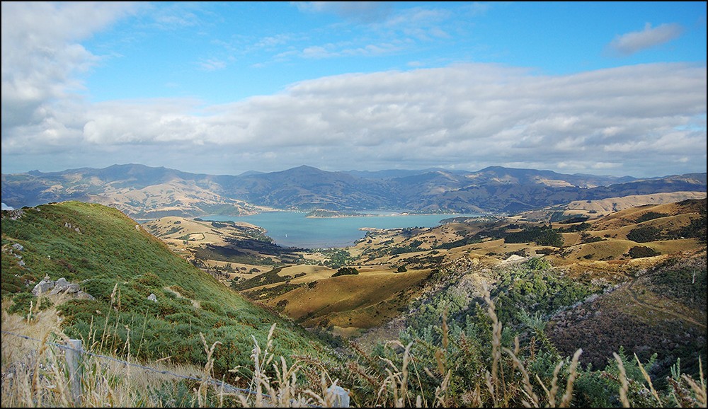 Banks Peninsula