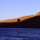 Banks Peninsula Jan.2004