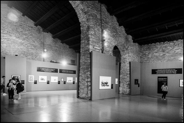 Banksy - Cervia 2024