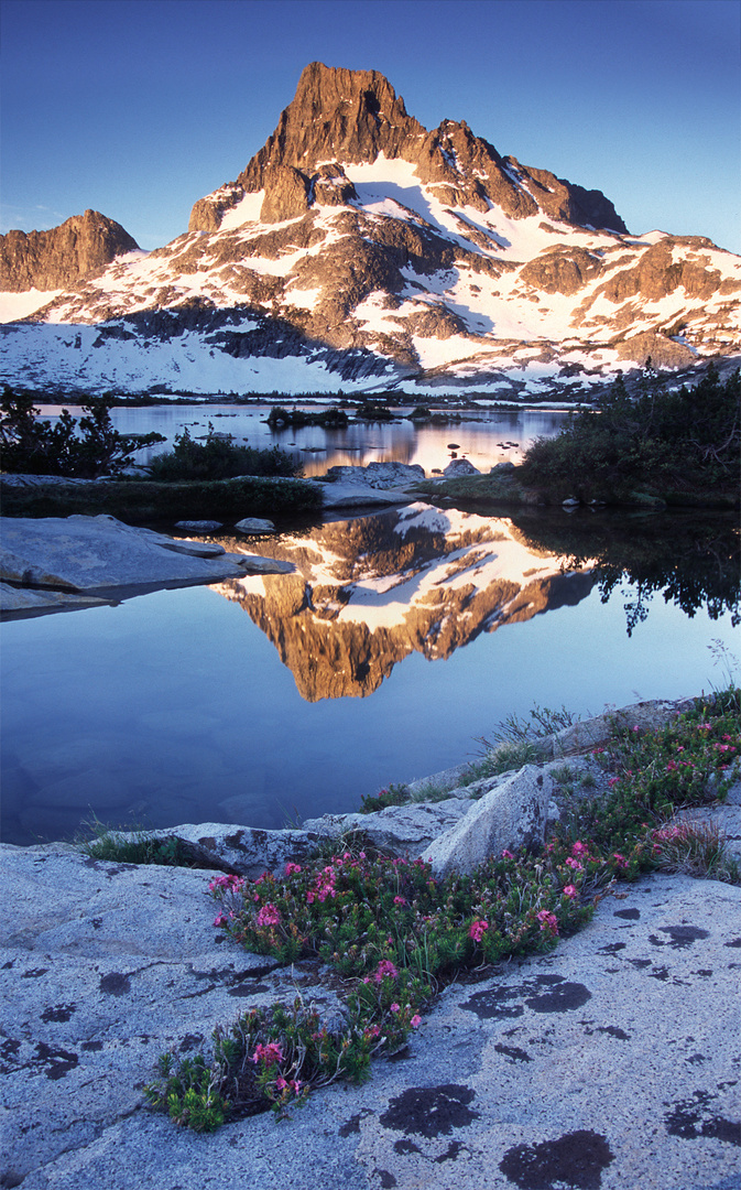 Banner Peak at Sunrise from 1000 Island Lake, Ansel Adams Wilderness