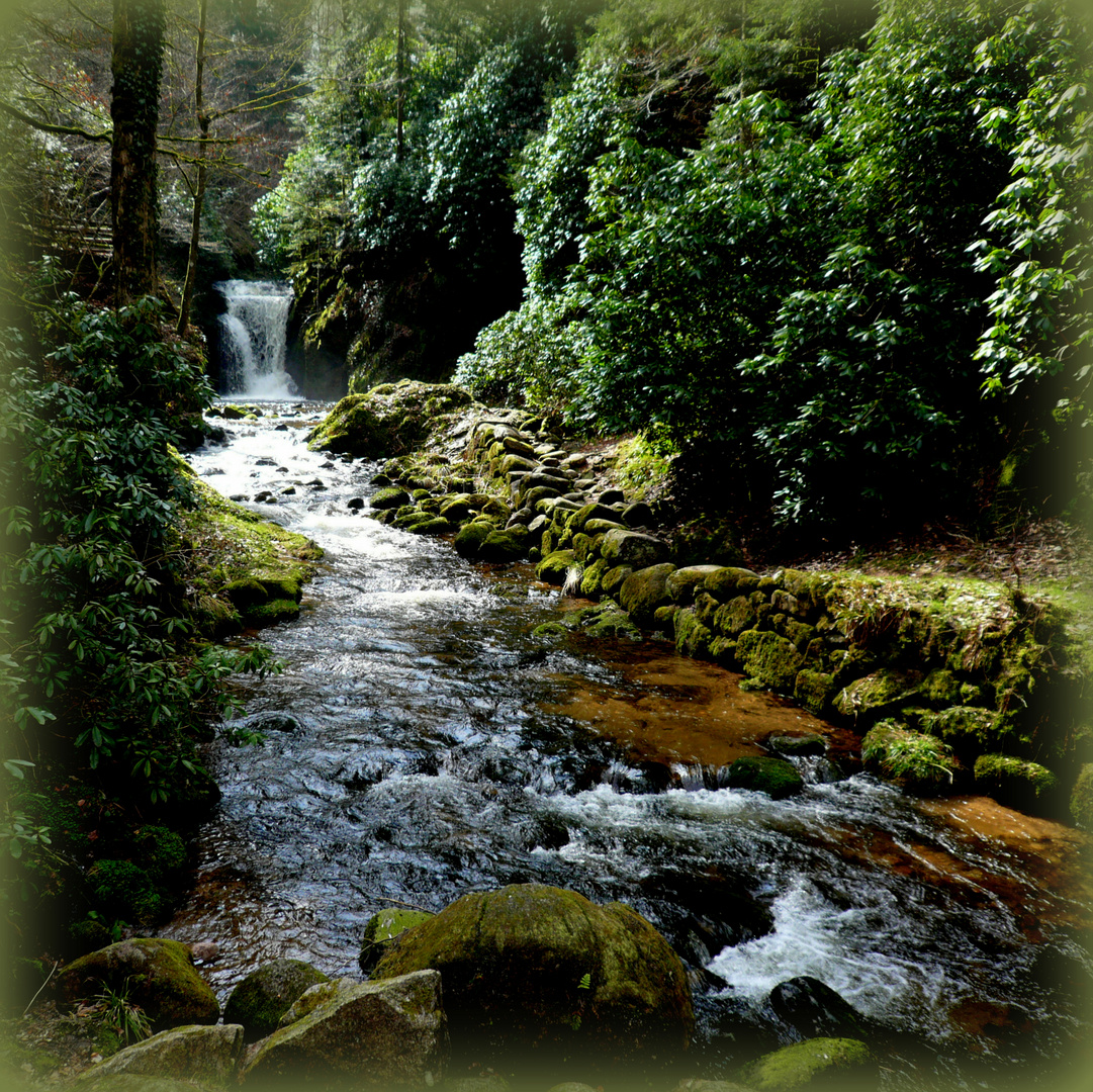 Bannwald Foto & Bild landschaft, jahreszeiten, wasserfälle Bilder auf