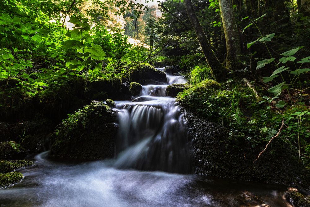 Bannwald Zweribachfälle Foto & Bild | deutschland, europe, baden Bannwald Zweribachfälle Foto & Bild | deutschland, europe, baden