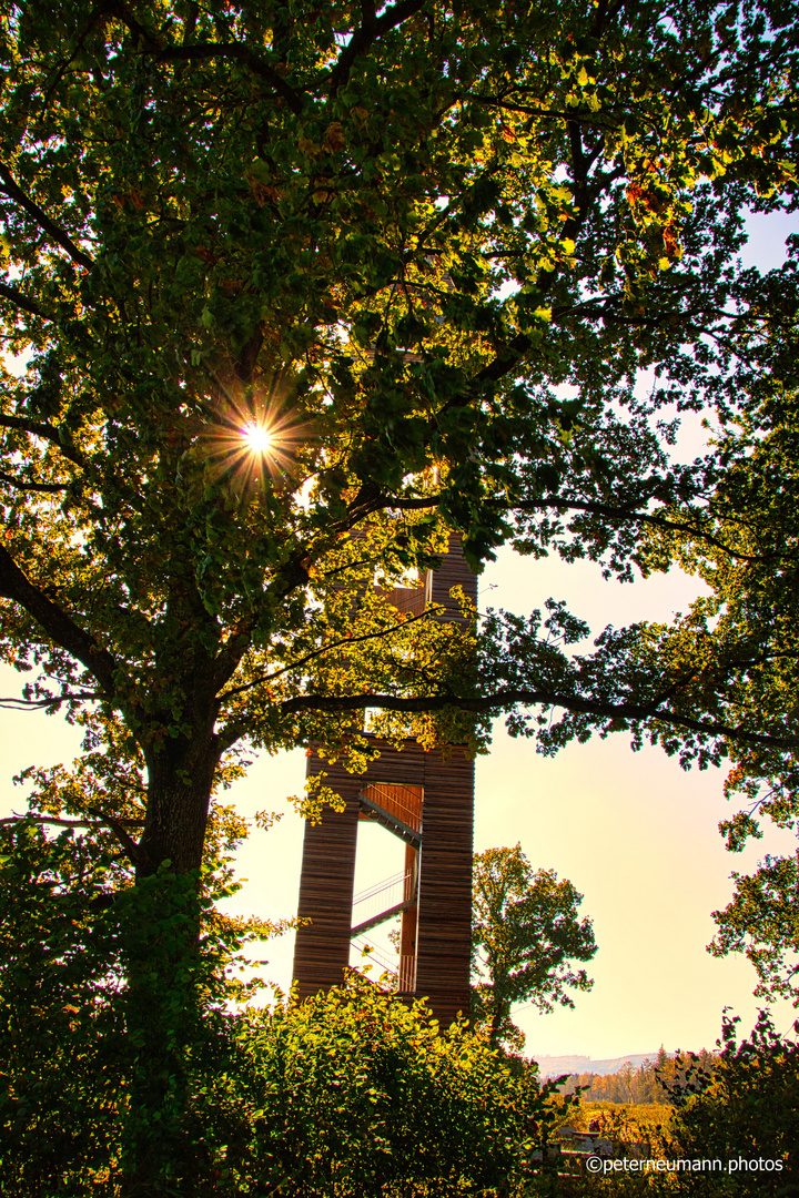 Bannwaldturm im Herbst