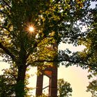 Bannwaldturm im Herbst