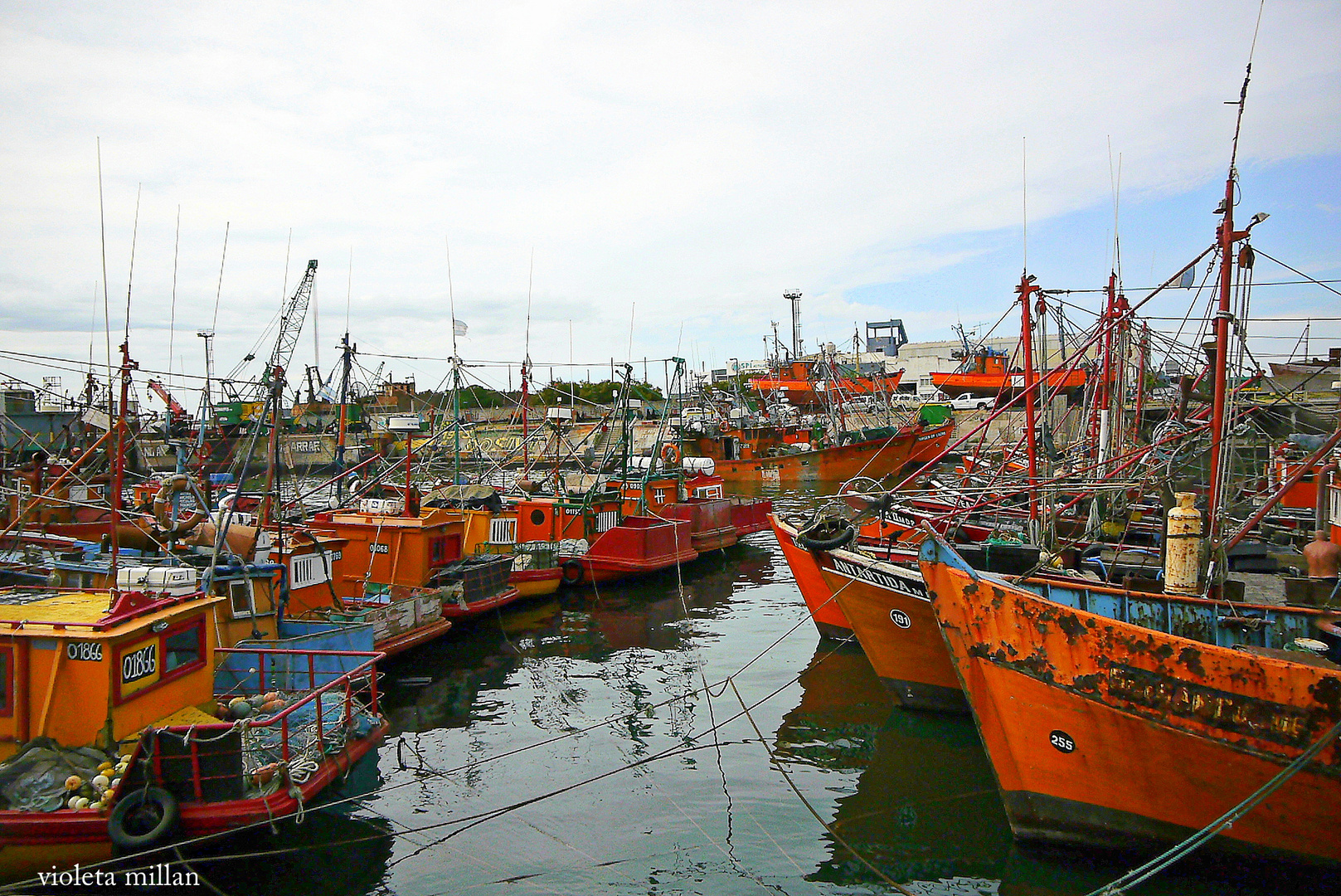 BANQUINA DEL PUERTO DE MAR DEL PLATA