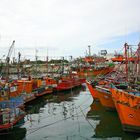 BANQUINA DEL PUERTO DE MAR DEL PLATA