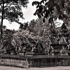 Banteay Srei 21 sw