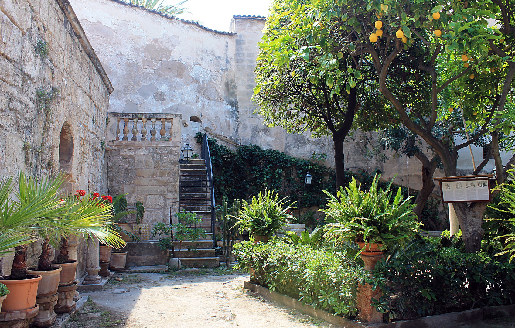 Banya Arabs, Palma