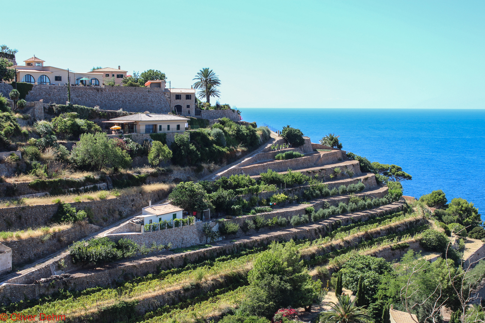 Banyalbufar: Terrassen mit Meerblick