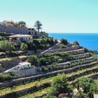 Banyalbufar: Terrassen mit Meerblick