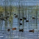 Banyoles