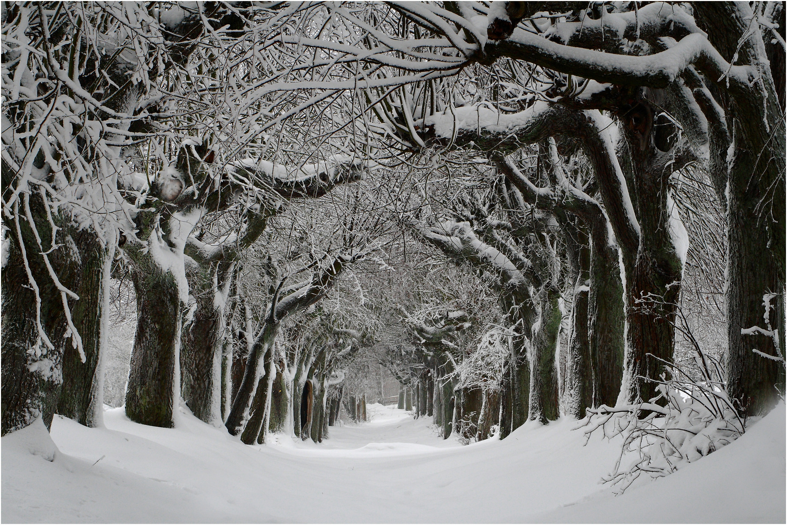 Banzer-Allee im Winter