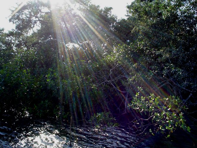 Baño de Luz - Estero de Jaltepeque El Salvador.