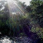 Baño de Luz - Estero de Jaltepeque El Salvador.