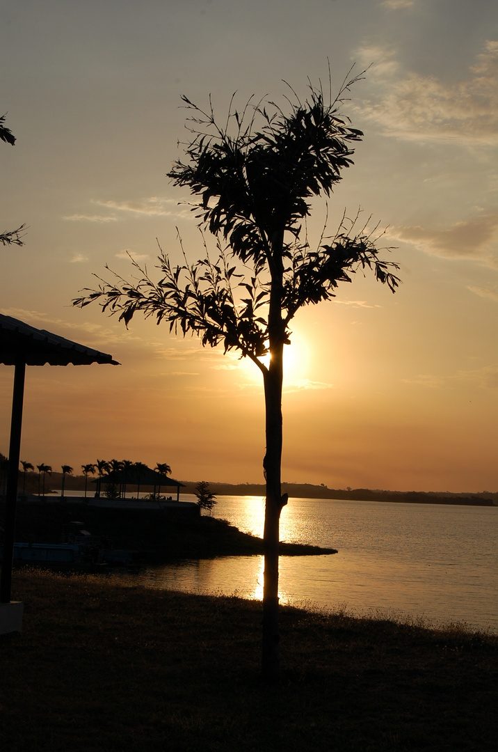 baño de sol al atardecer