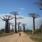 BAOBAB