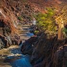 Baobab am Kunene...