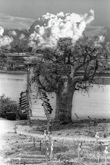 Baobab bridge