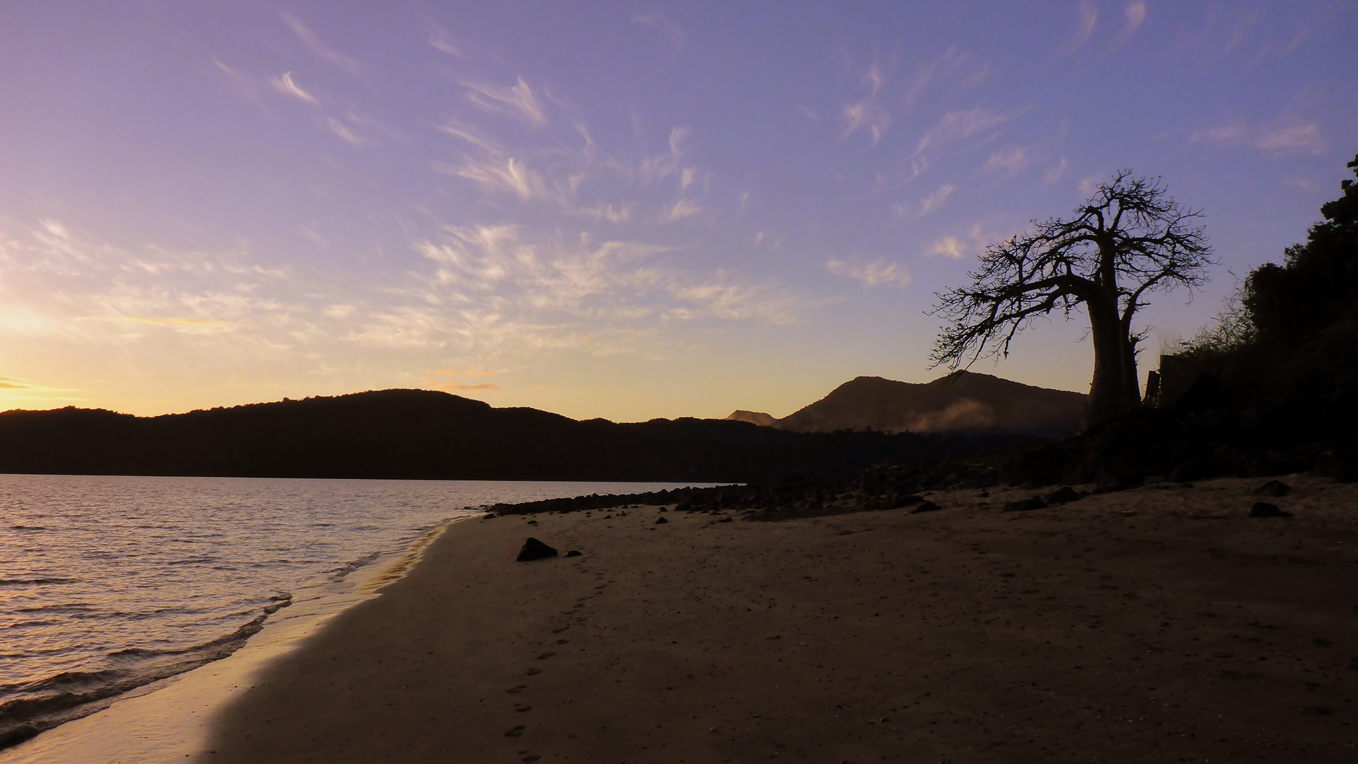 Baobab / Mayotte