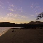 Baobab / Mayotte