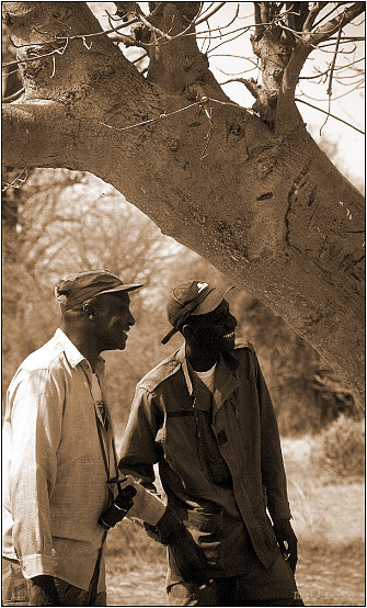 Baobab - nur ein Ast ...