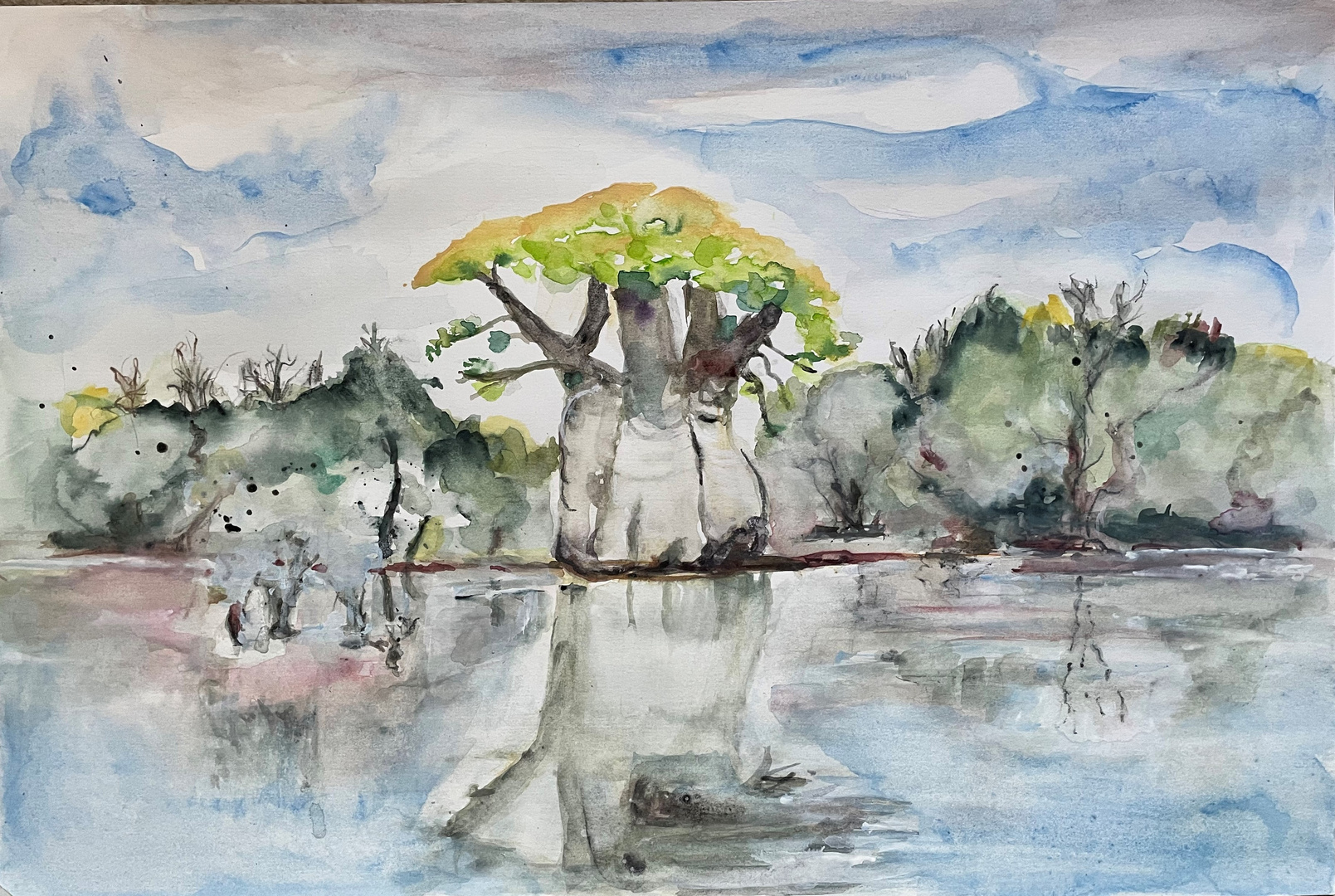 Baobab - Reflexionen nach dem Regen