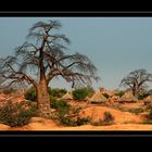 Baobab Village