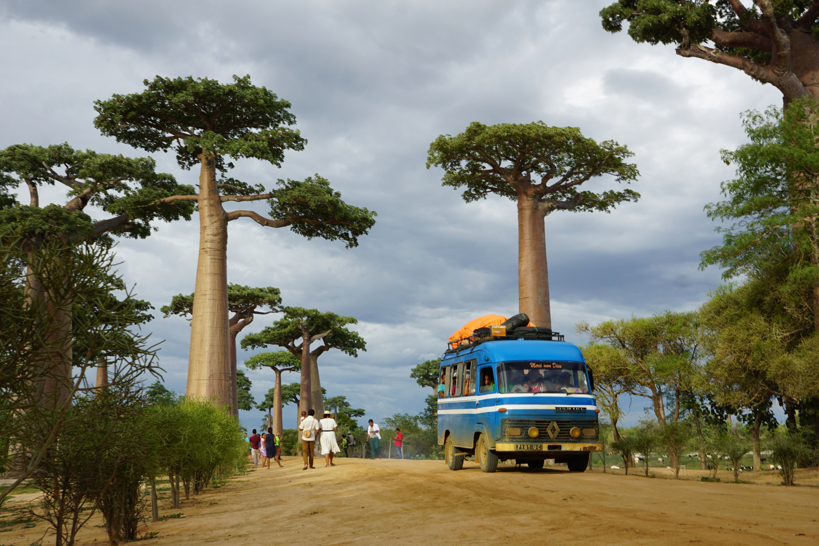 Baobaballee Morondava