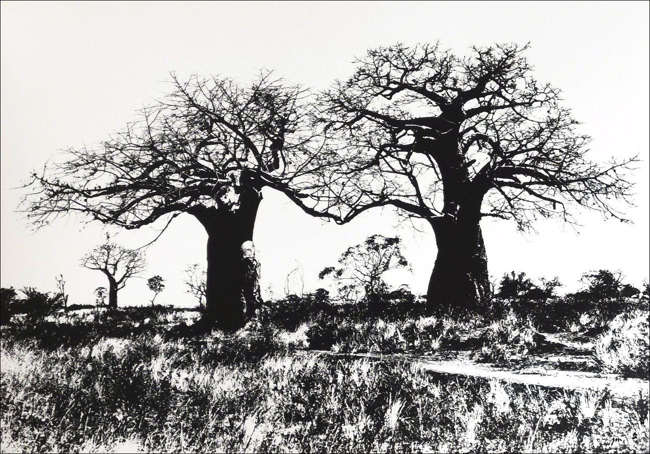 Baobabs