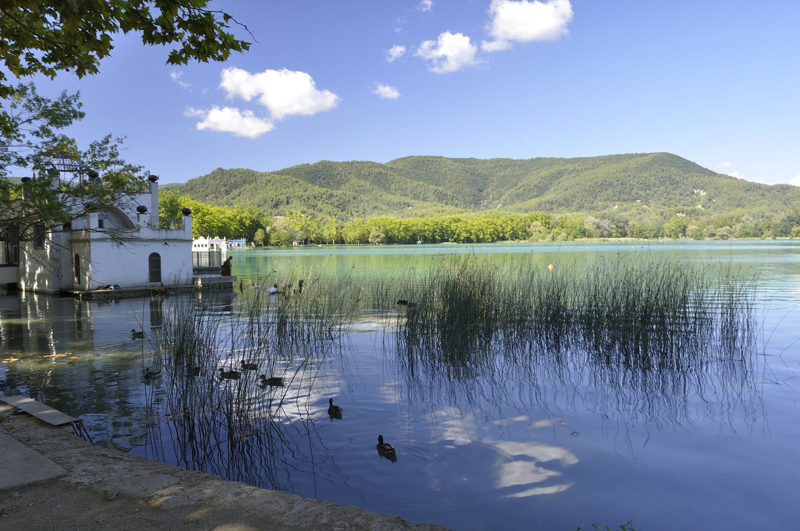 Bañolas,un dia cualquiera