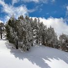 Baqueira, le brouillard se déchire