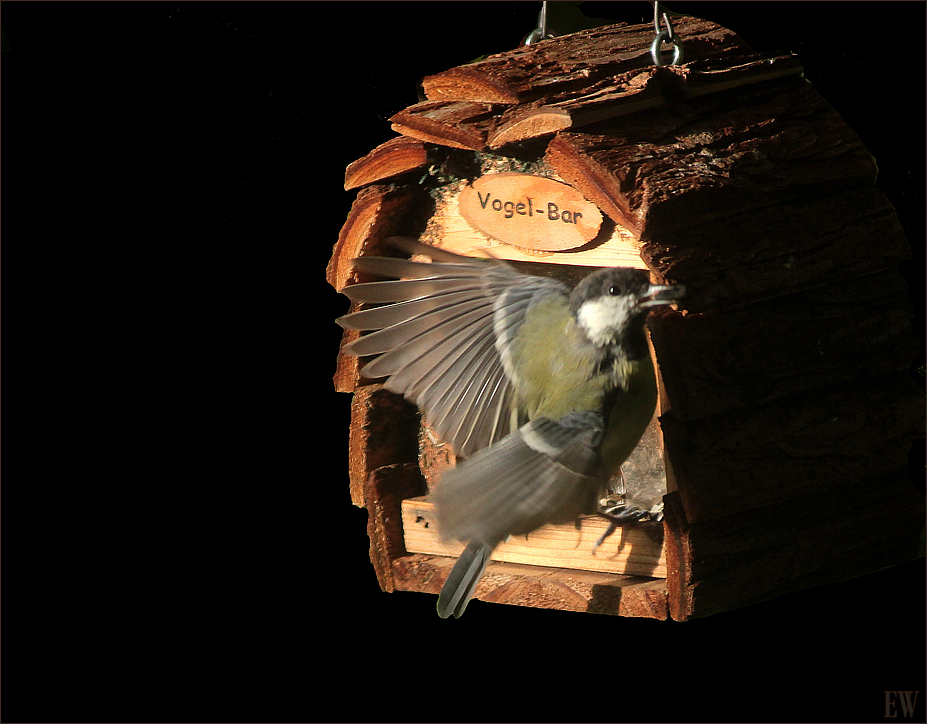 "Bar-Besuch"...