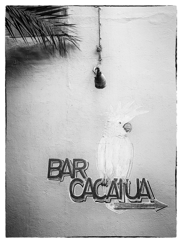 Bar Cacatua