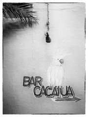 Bar Cacatua