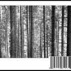 Bar Code