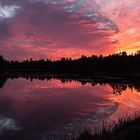 Bar Harbor