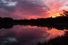 Bar Harbor