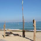 Bar on the beach