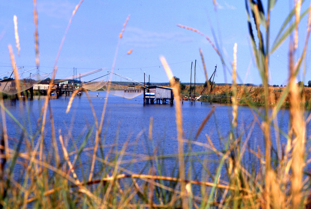 Baracche per la pesca delle anguille (foci del po)