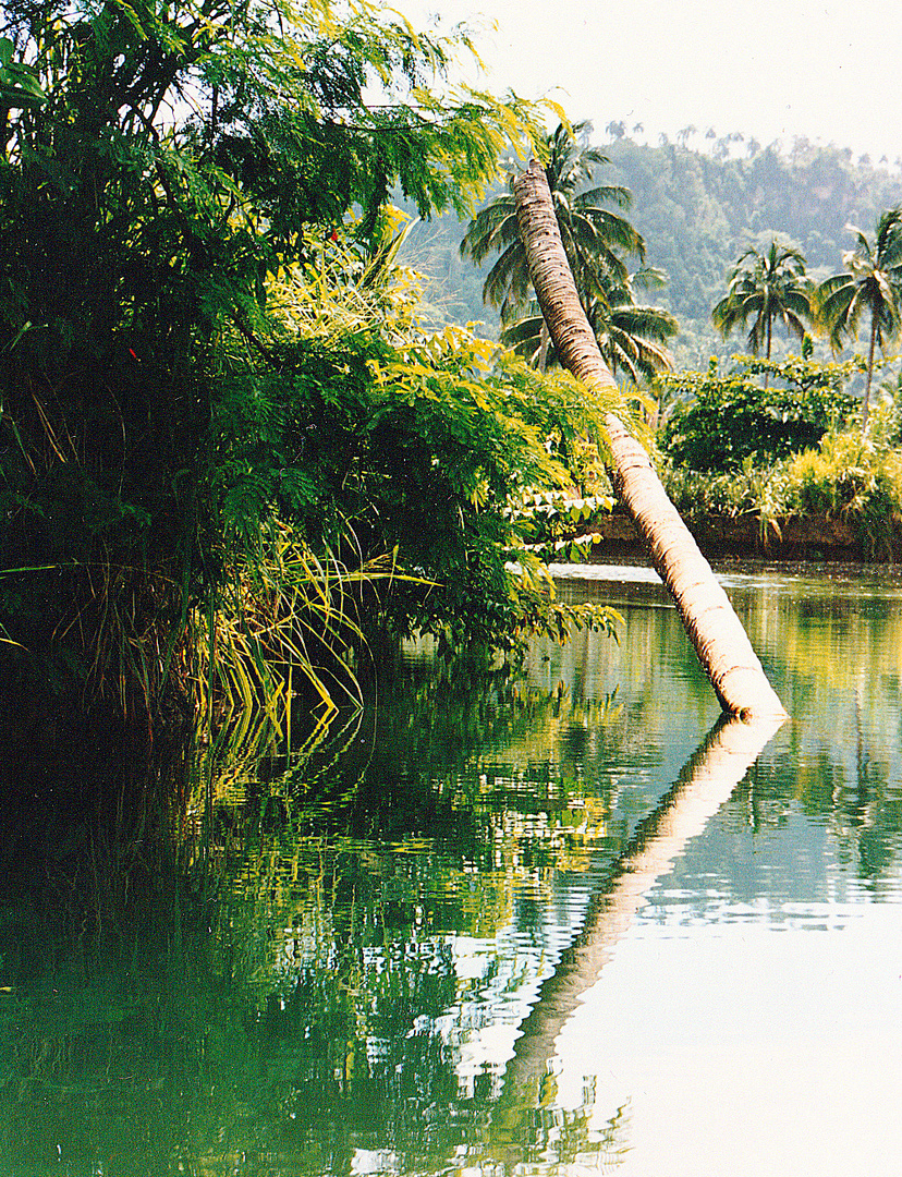 Baracoa de Cuba:Rio Miel